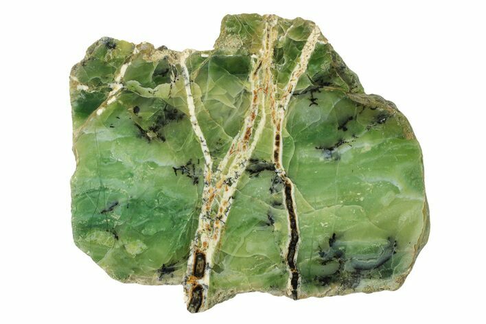 Polished Green-White Opal Slab - Western Australia #280156